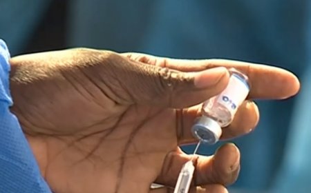 Mais de dois milhões de menores vacinados contra cancro do colo do útero
