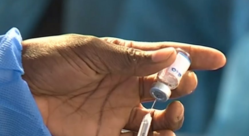 Mais de dois milhões de menores vacinados contra cancro do colo do útero