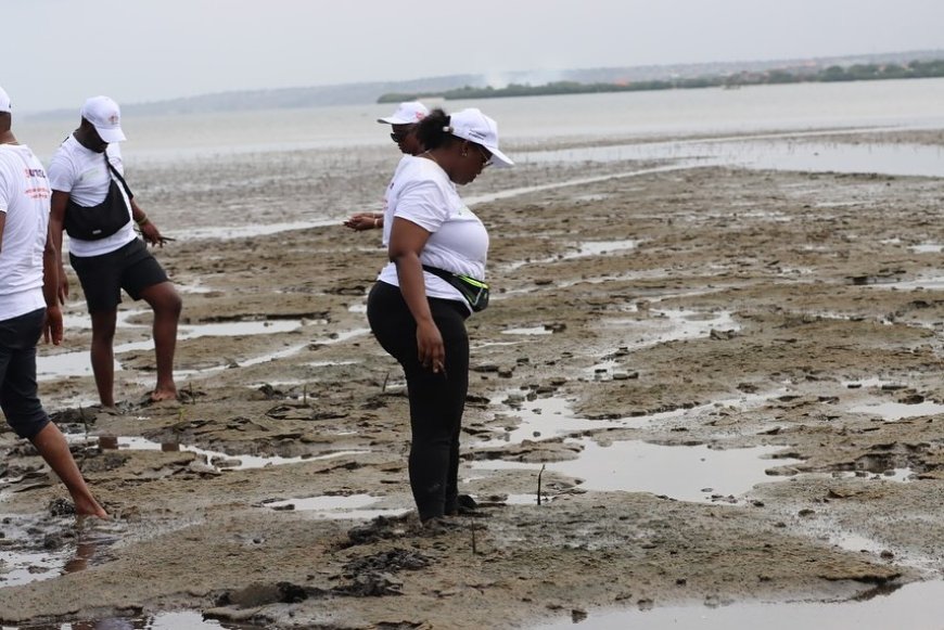 UNITEL e Associação Otchiva promovem plantação de mais de 10 mil mudas de mangais
