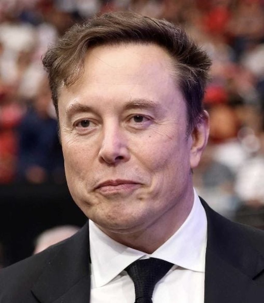 ELON MUSK QUER VER O FIM DA UNIÃO EUROPEIA