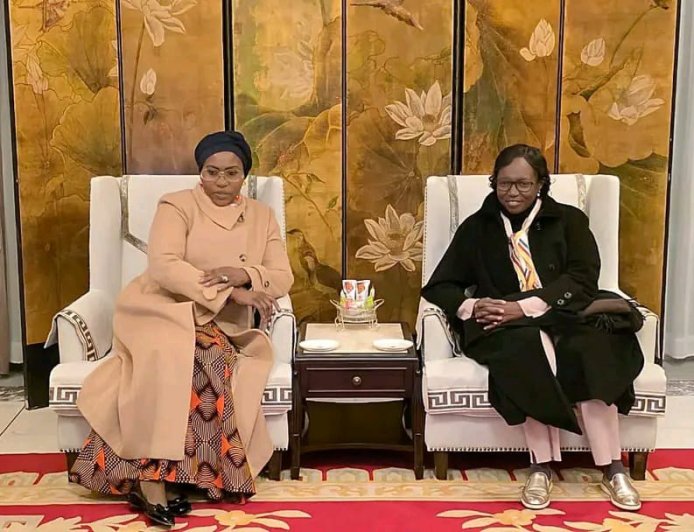 Saúde em Angola ganha novo impulso: Ministra da saúde visita China