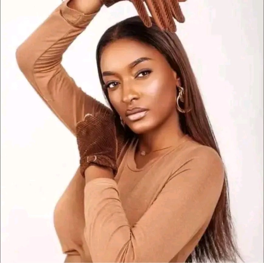 Telma Lee anuncia o novo lançamento “Alma Limpa” um hino de recomeço chega em janeiro  