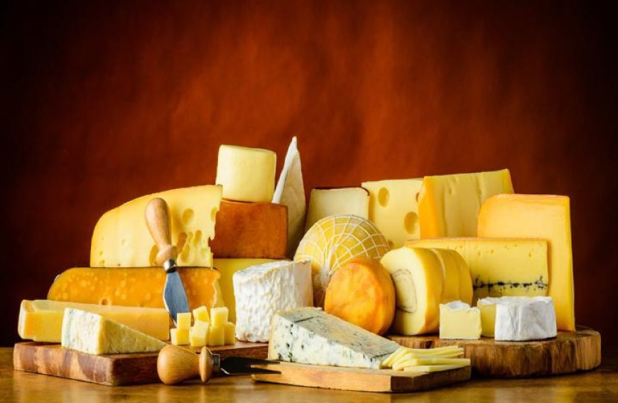 Mundo celebra tradição milenar no Dia Mundial do Queijo