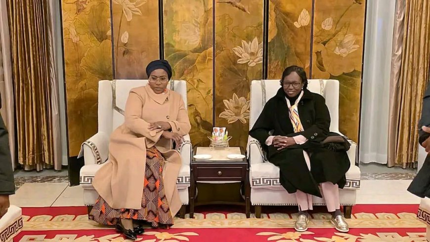 Saúde em Angola ganha novo impulso: Ministra da saúde visita China