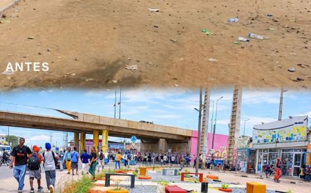 Inovação Urbana dá nova imagem à rotunda da Camama 